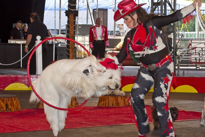 Shrine Circus-Great Lakes State Fair.jpg