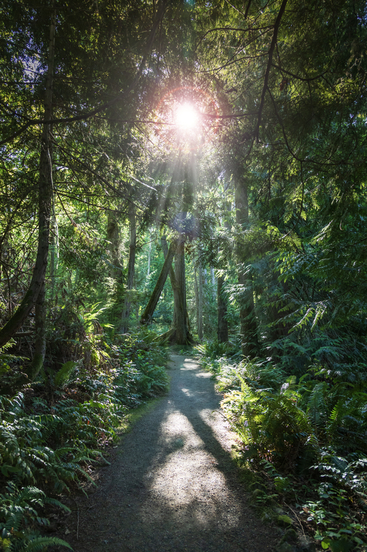 Olympic National Park.jpg