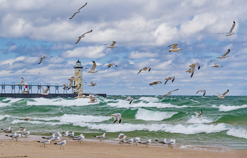 Seagull Storm_Manistee MI.jpg