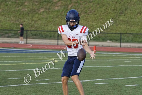 OM25vsBriarwood_002.jpg