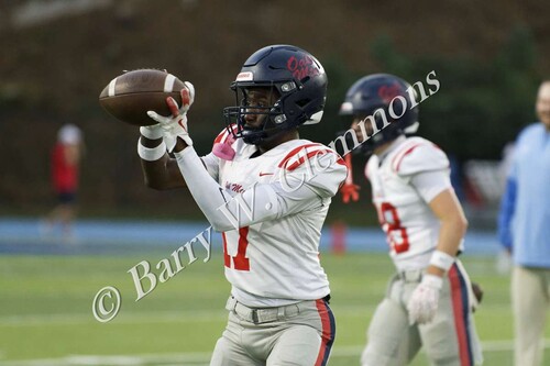 OM25vsVestavia004.jpg