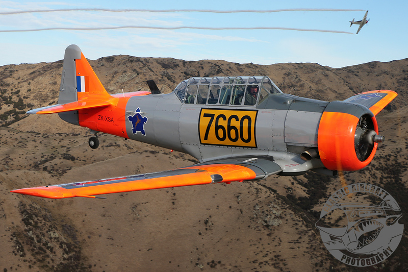 AC3Q2284(1).jpg