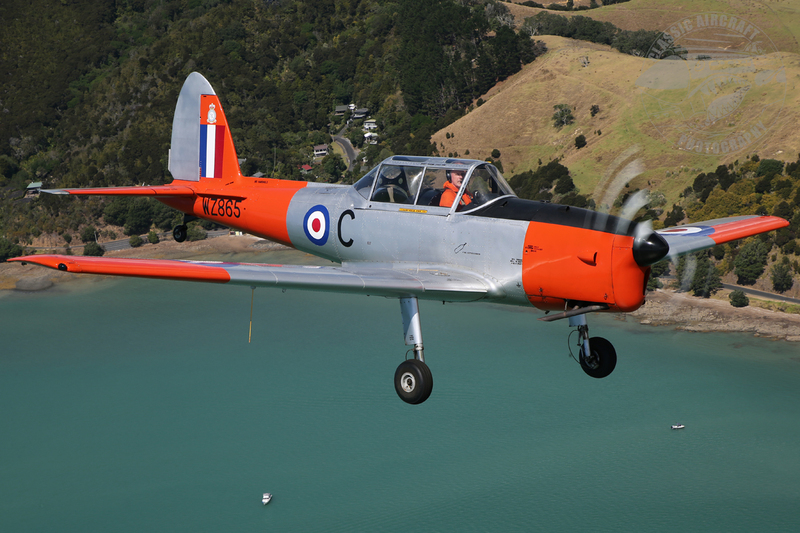 AC3Q4566(1).jpg