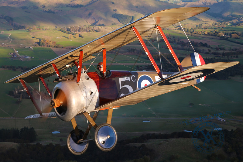 AC3Q6995(1).jpg