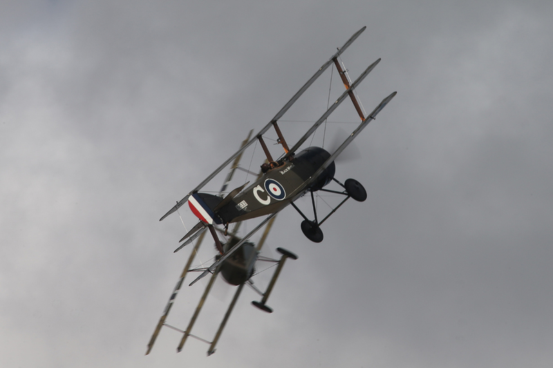 AC3Q8187(1).jpg