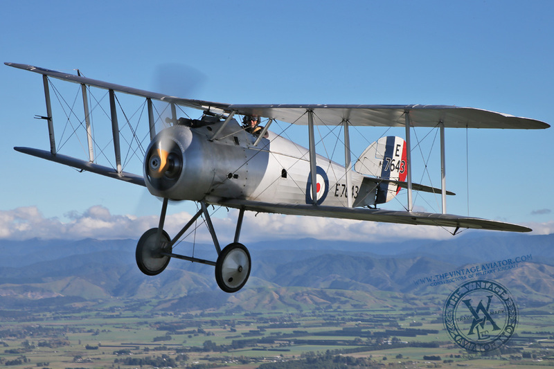 AC3Q8342(1).jpg