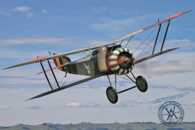 AC3Q8376(1).jpg