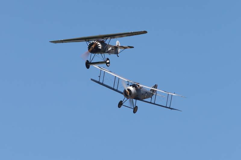 AC3Q8868(1).jpg