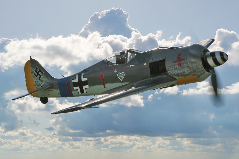 AG7I1951(1).jpg