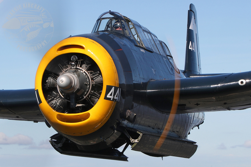 AG7I7431(1).jpg