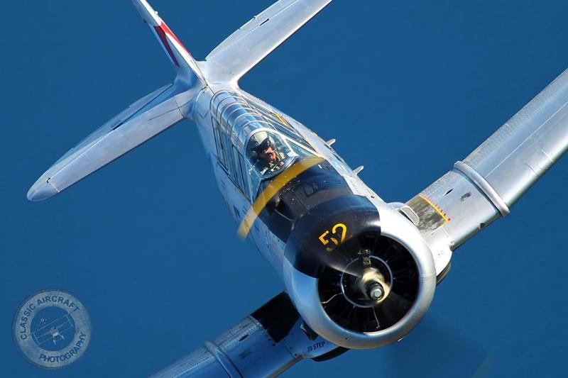 Harvard 52 Head-on(1).jpg