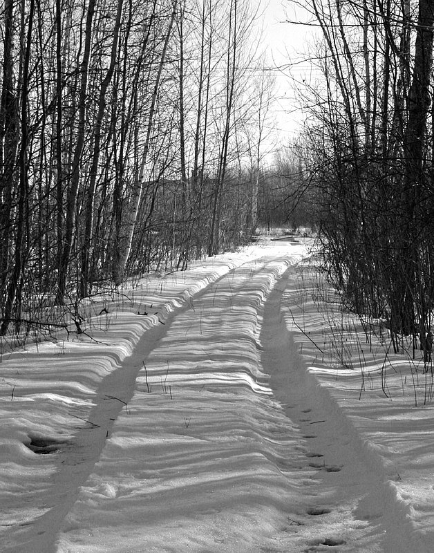 IMG_5307CROPBW.jpg