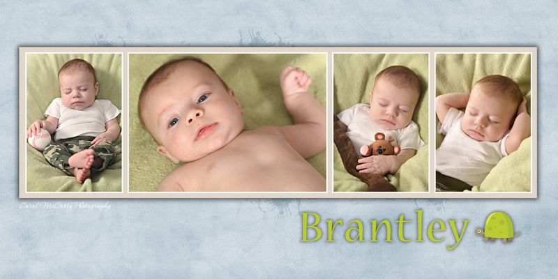 Brantley1.jpg