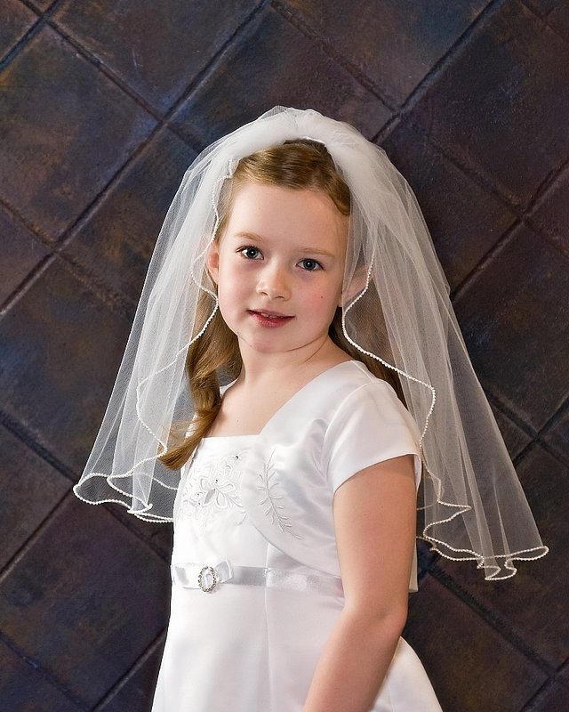Veil_0013s.jpg
