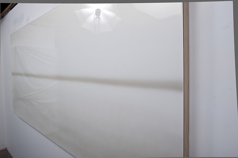 Brindle Casper- Platnum stratum-2013-44x94x2.5-automotive and acrylic paint and resin7817.jpg
