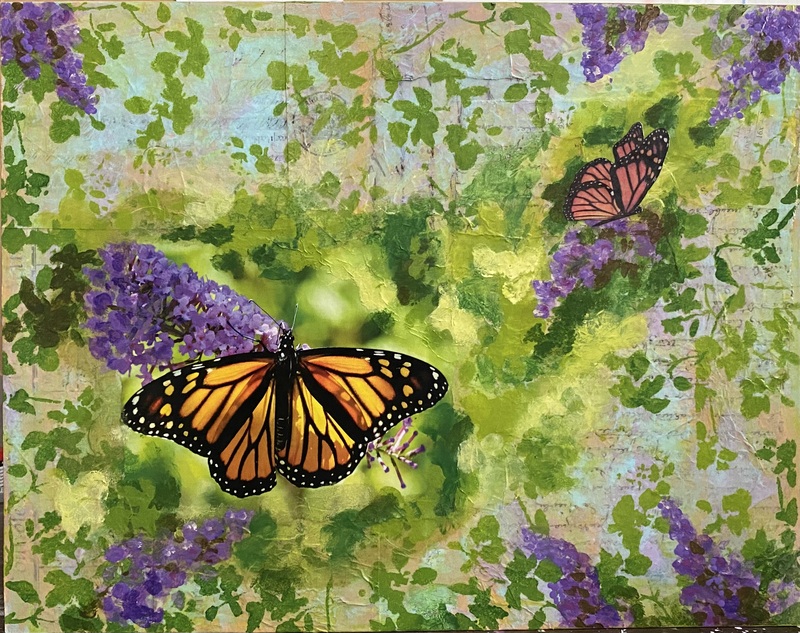 Mariposa Dream(1).jpg