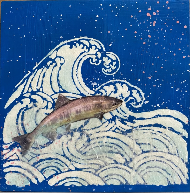 Soaring Salmon.jpg