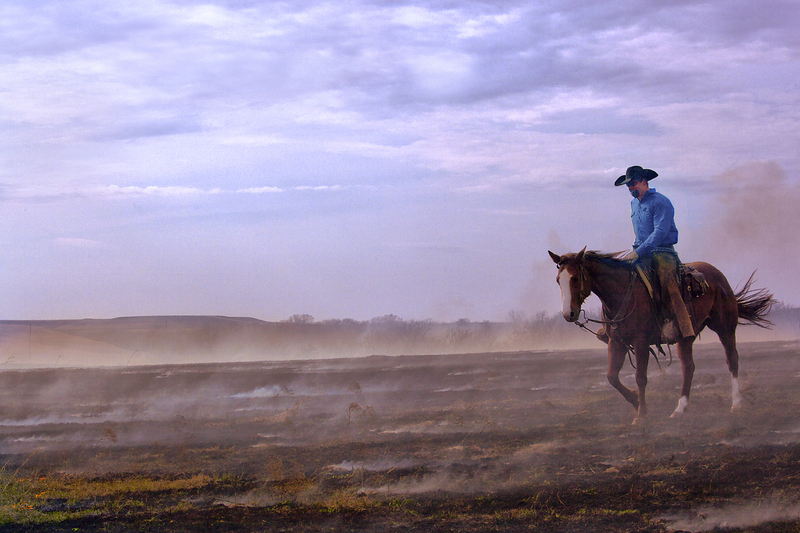 After the Burn FINAl.jpg :: Clover Cliff Ranch in Elmdale, Kansas for their annual prairie burn fires.  One day workshop with Craig McCord and Jason Soden.  Ranch is owned by Warren and Susie Harshman.  Their son, Spencer was the rider on horseback.  Clover Cliff Ranch is a Bed and Breakfast with lovely facilities.  They host the workshops which are limited to 16-18 participants.