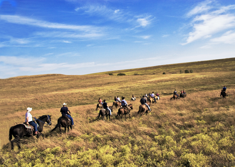 Big Plains Trail Ride in the Flint Hills FINAL.jpg :: Dream Ride in the Flint Hills, Clements, Kansas, September 28-30.  Sponsored by Purina (Earnie Rodina,  hosted by Flying W Ranch, organized by Suzan Barnes of the Grand Central Hotel in Cottonwood Falls, Kansas.