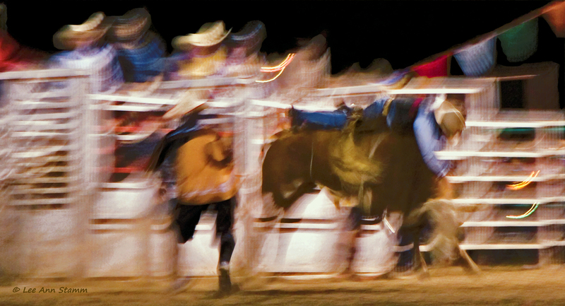 Bull Riders Fast 8 Seconds FINAL .jpg :: Cass County, Missouri Rodeo - 2009 Cass County Fair.  A Fast 8 Seconds - Bull Riding.