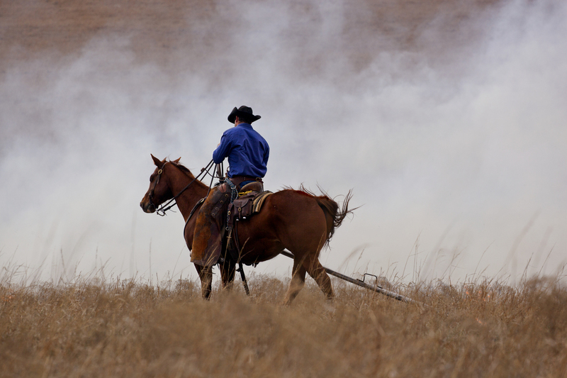Cowboy Pulls the Burn Pole FINAL.jpg :: Clover Cliff Ranch in Elmdale, Kansas for their annual prairie burn fires.  One day workshop with Craig McCord and Jason Soden.  Ranch is owned by Warren and Susie Harshman.  Their son, Spencer was the rider on horseback.  Clover Cliff Ranch is a Bed and Breakfast with lovely facilities.  They host the workshops which are limited to 16-18 participants.