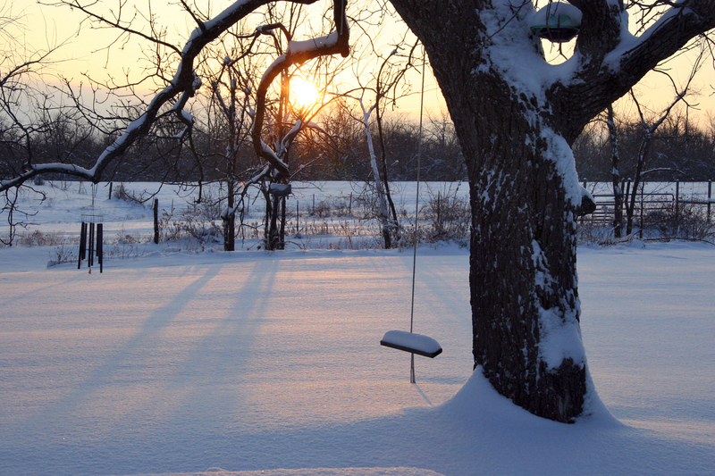 Dawning Of A New Day FINAL.jpg :: Tree Swing at Dawn with Snow and Walnut Tree in Kingsville, Mo., USA, North America