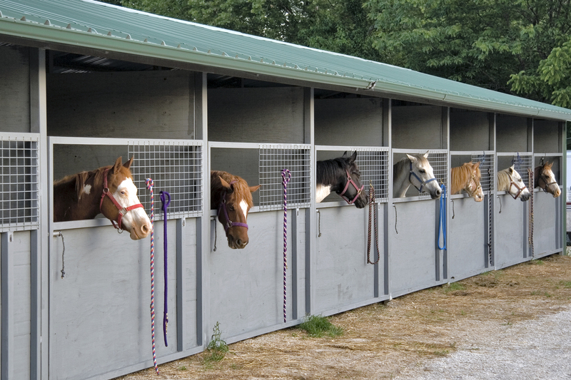Line of Stabled Horses FINAL.jpg :: Eagle Ranch trail ride and fun over Memorial Day Weekend, May 25 through 29, 2006.  Tim Stamm, Lee Ann Stamm, and Helen Phelps stayed together in a cabin.  Also in attendance were Crystal, an 18 year old Silkie Terrier, and Maggie, a 7 year old Great Dane.  Tim and Lee Ann rode their Kentucky Mountain Saddle Horses, Riley and Mr. Beau.   The trio ate food prepared in advance of the trip and went to Smith's in Collins for their famous pork tenderloin, chicken fried steak, and cobbler.