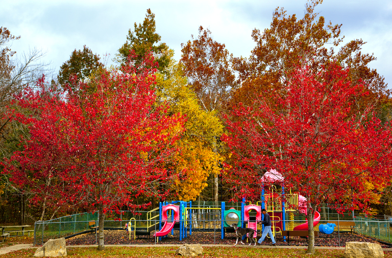 Playing With Color FINAL.jpg :: The colors of the playground at Lost Valley RV Resort in Owensville, Mo. are complimented by the vibrant color in the autumn trees.  A man and dog take a brisk walk among the splendor.