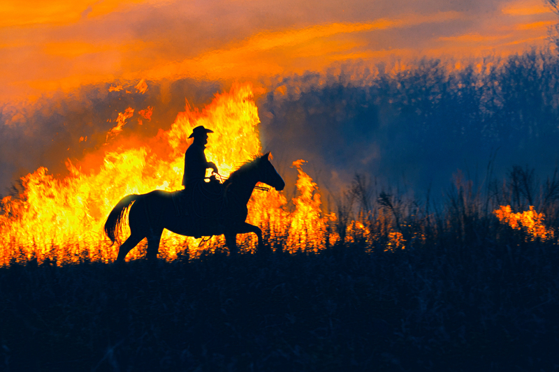 Prairie Burn Horse and Rider Silhouette FINAL.jpg :: Clover Cliff Ranch in Elmdale, Kansas for their annual prairie burn fires.  One day workshop with Craig McCord and Jason Soden.  Ranch is owned by Warren and Susie Harshman.  Their son, Spencer was the rider on horseback.  Clover Cliff Ranch is a Bed and Breakfast with lovely facilities.  They host the workshops which are limited to 16-18 participants.