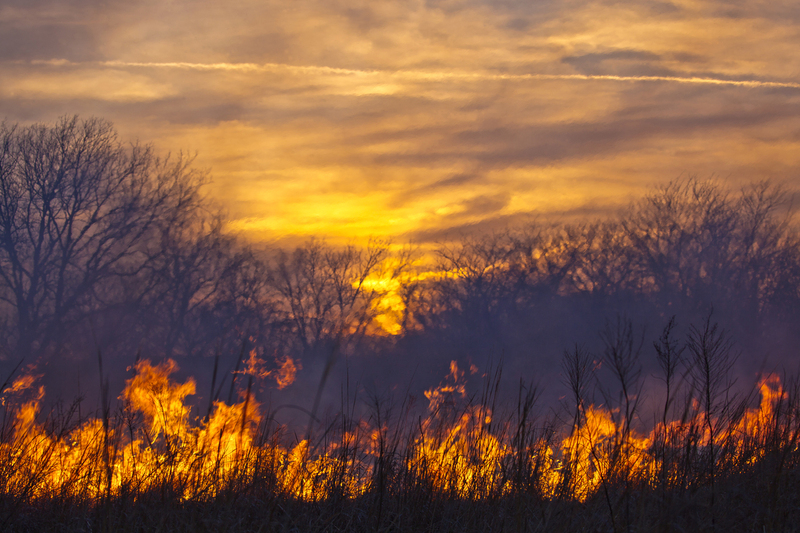 Prairie Fire at Sunset FINAL .jpg :: Clover Cliff Ranch in Elmdale, Kansas for their annual prairie burn fires.  One day workshop with Craig McCord and Jason Soden.  Ranch is owned by Warren and Susie Harshman.  Their son, Spencer was the rider on horseback.  Clover Cliff Ranch is a Bed and Breakfast with lovely facilities.  They host the workshops which are limited to 16-18 participants.