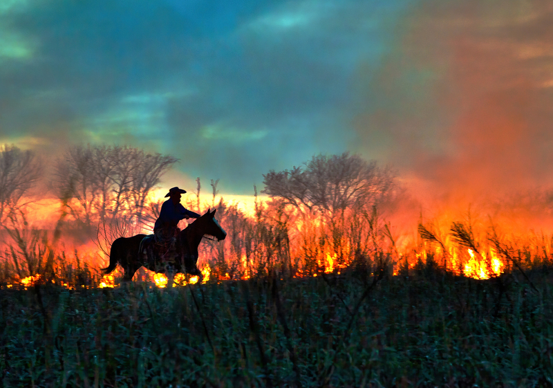 Rider at Night Prairie Burn FINAL.jpg :: Clover Cliff Ranch in Elmdale, Kansas for their annual prairie burn fires.  One day workshop with Craig McCord and Jason Soden.  Ranch is owned by Warren and Susie Harshman.  Their son, Spencer was the rider on horseback.  Clover Cliff Ranch is a Bed and Breakfast with lovely facilities.  They host the workshops which are limited to 16-18 participants.