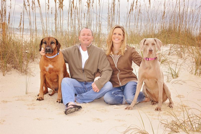 Puppies Beach.jpg