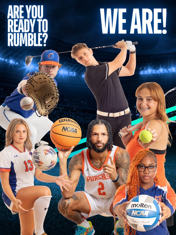 ARE YOU READY TO RUMBLE-2 copy(1).jpg :: ARE YOU READY TO RUMBLE? - 1