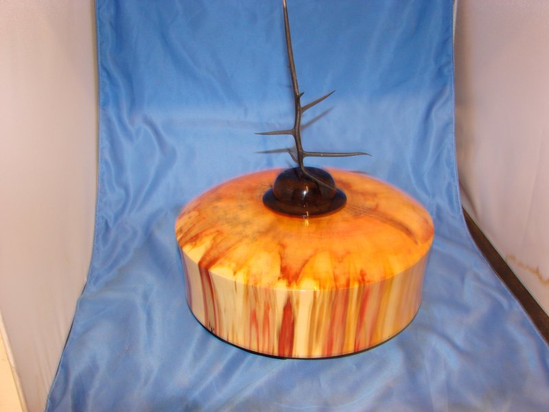 image30.jpg
