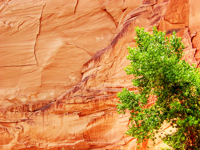 251-Canyon de Chelly-highlight_Enhancer(1).jpg