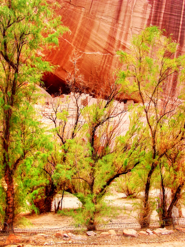 274-Canyon de Chelly-White House-highlight_Enhancer(1).jpg