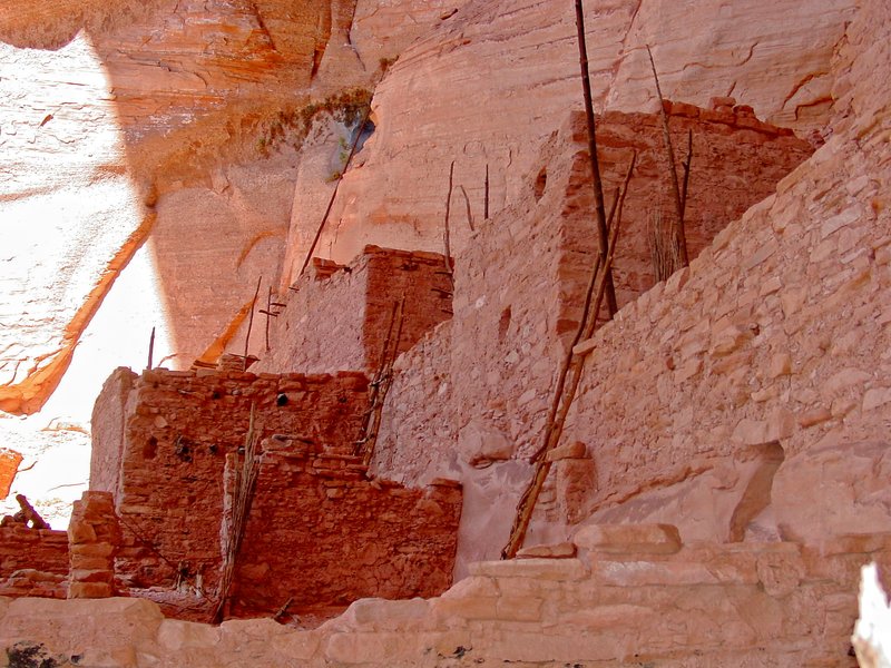 BRNNMAZ2.jpg :: Betatakin Ruin - Navajo National Monument, Arizona