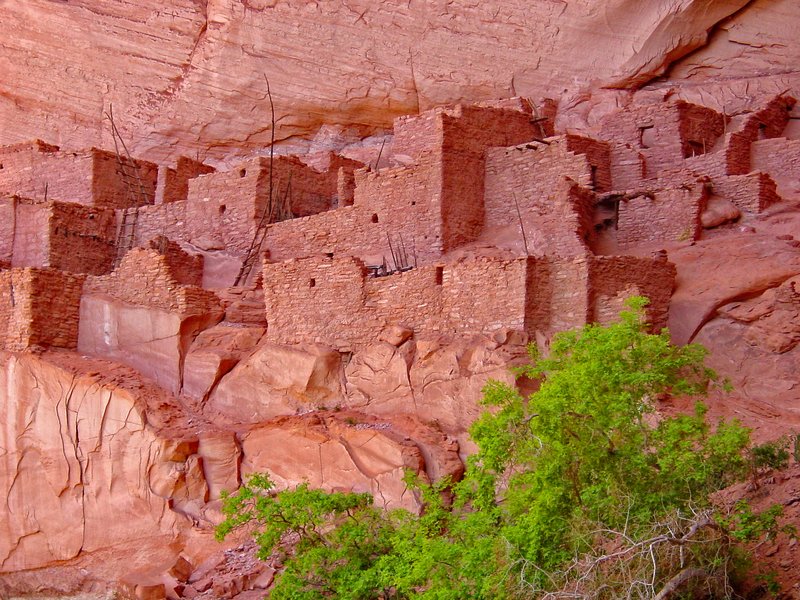 BRNNMAZ5.jpg :: Betatakin Ruin - Navajo National Monument, Arizona