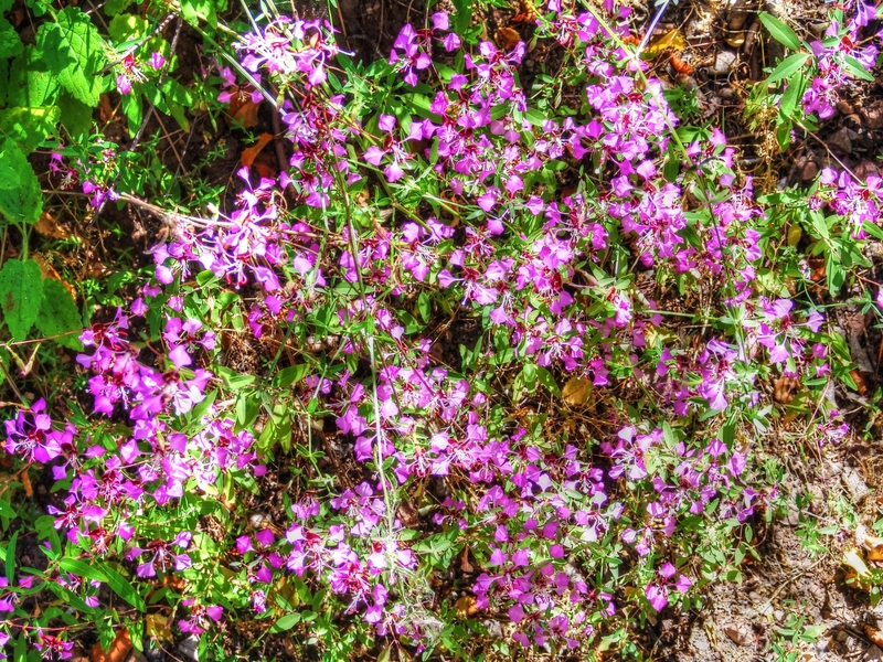DSC00939-highlight_Enhancer.jpg