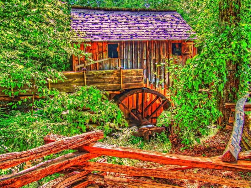 DSC05493-highlight-topaz_tonemapped(1).jpg