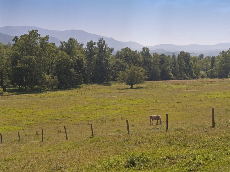 GSM01.jpg :: Great Smoky Mountains