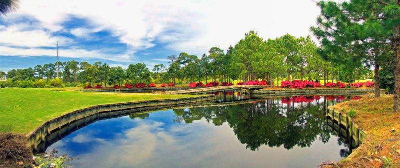PANGCFL1.jpg :: Azalea Lined Green - Destin, Florida