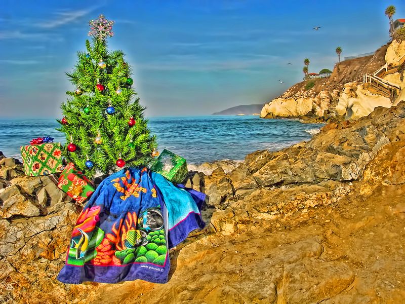 CATB1.jpg :: Christmas at the Beach