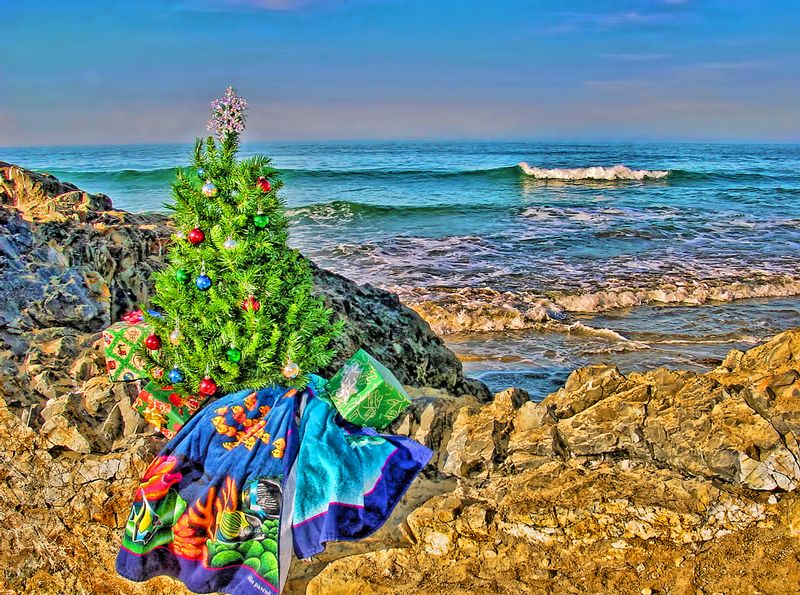 CATB2.jpg :: Christmas at the Beach