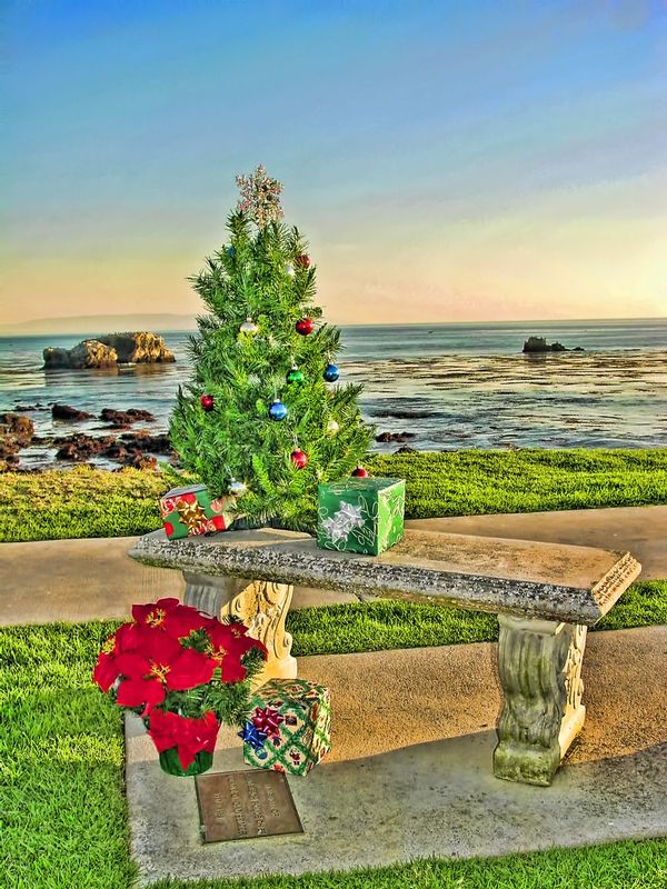 CATB5.jpg :: Christmas at the Beach