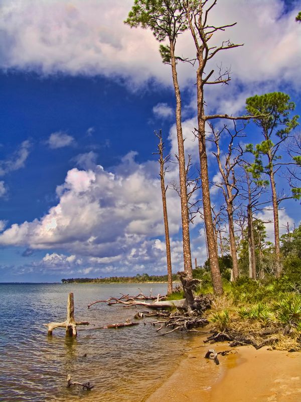 GINS1.jpg :: Gulf Islands National Seashore - Pensacola, Florida