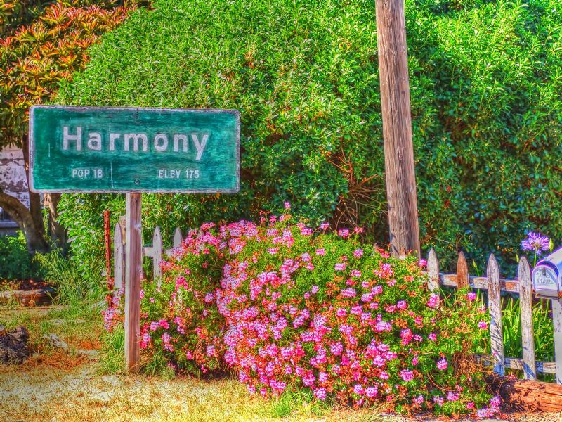 HCA01.jpg :: Harmony, California