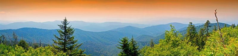 PANGSM02.jpg :: Great Smoky Mountains