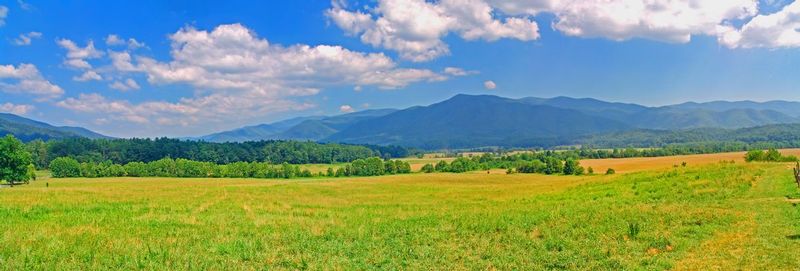 PANGSM1.jpg :: Great Smoky Mountains