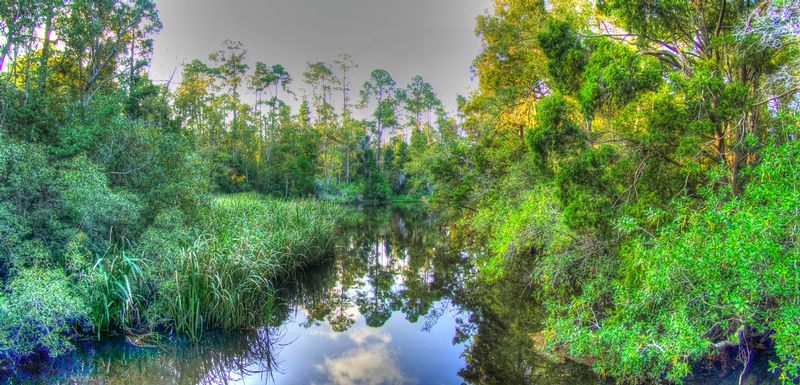 PANPB1.jpg :: Pensacola Bayou